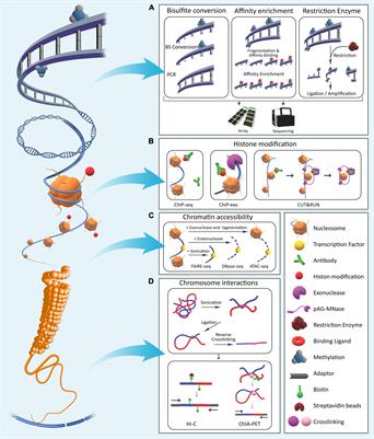 A Comparative Overview of Epigenomic Profiling Methods